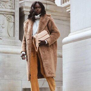 Aritzia Teddy Coat